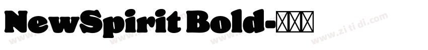 NewSpirit Bold字体转换